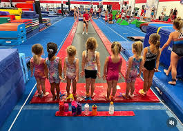 Image result for Phoenix Gymnastics