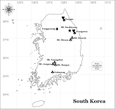 Attēlu rezultāti vaicājumam “Bacidia subincompta”