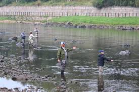 Image result for Aberdeen & District Angling Association