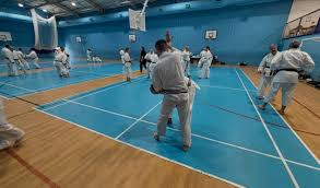 Image result for Junsui Shotokan Karate Do