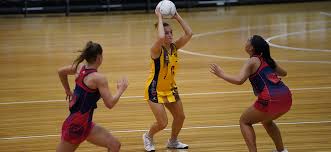 Image result for The Downs Netball Club