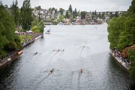 Image result for Windermere Rugby Club