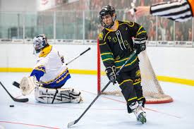 Image result for Team-Tigers Roller Hockey Club