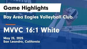 Image result for White Eagles Volleyball Club