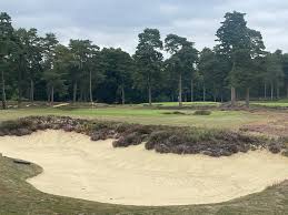 Image result for Hankley Common Golf Club