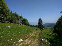 Image result for vallorbe tehron