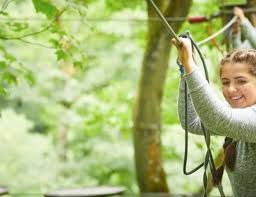 Image result for Go Ape! Alice Holt