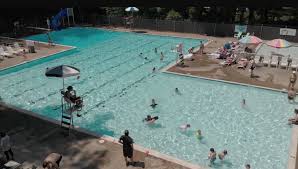 Image result for Trowbridge Swimming Club