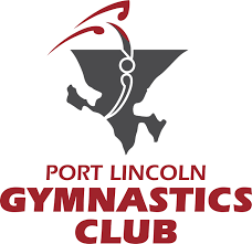Image result for Lincoln Gymnastics Club