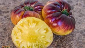 Afbeeldingsresultaat voor blushing yellow tomato