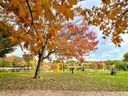 Image result for Leek Park B C