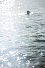 Image result for Bournemouth Spartans Winter Sea Swimming Club