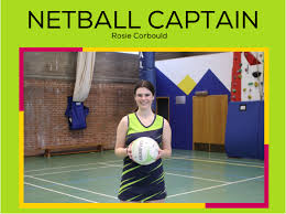 Image result for Ipswich Ladies Netball Club