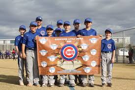 Image result for Sidewinders Baseball Club