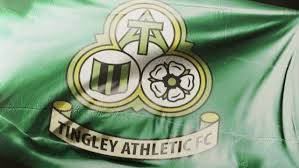 Image result for Tingley Athletic