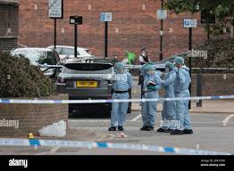 Image result for Elthorne Cricket Club