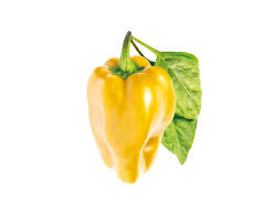 Afbeeldingsresultaat voor baby yellow sweet pepper