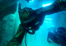 Image result for Blue Water Freediving School