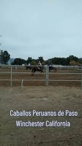 Image result for Winchester Riding Club