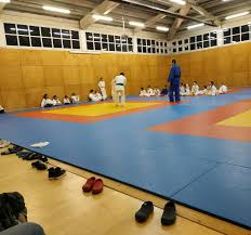 Image result for Croydon Judo Club