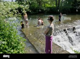 Image result for Frome Swimming Club