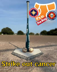 Image result for PLYMOUTH MARINERS BASEBALL CLUB