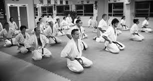 Image result for Kyoku Kenjutsu Kai