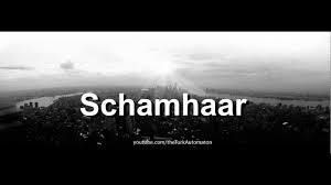 Image result for schamhaar