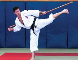 Image result for Fighting Arts Organisation of Great Britain