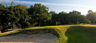 Image result for Brokenhurst Manor Golf Club