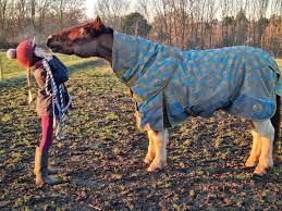 Image result for Lower Farm Stables