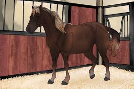 Image result for chestnut friesian