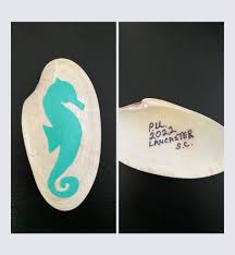 Image result for mountain top seashell