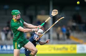 Image result for World of Shinty