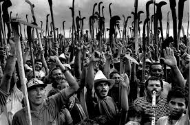 Image result for sebastiao salgado