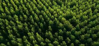 Image result for image