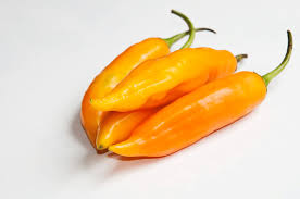 Afbeeldingsresultaat voor aji habanero hot pepper