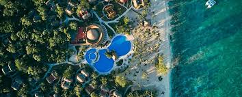 Resultado de imagen para cozumel dive