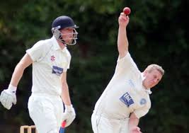 Image result for Great Ayton Cricket & Football Club