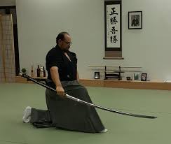 Image result for Kyoku Kenjutsu Kai