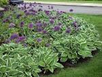 Small Backyard Flower Gardensbackyard Flower Gardens Home Exterior ...