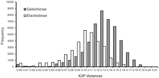 Attēlu rezultāti vaicājumam “Gelechia jakovlevi”
