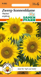 Image result for Sonnenblume