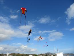 Image result for Kite Club of Scotland