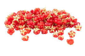 Attēlu rezultāti vaicājumam “Rubus saxatilis flower”