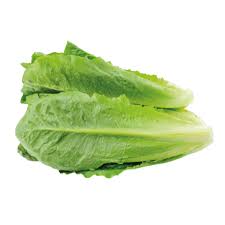 Image result for Römischer Salat