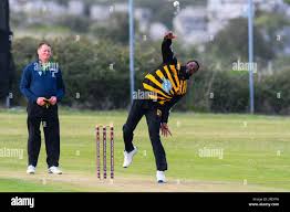 Image result for Red Triangle Bowls Club