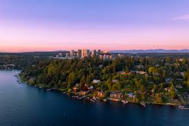 Image result for Bellevue