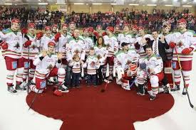 Image result for Cardiff Capitals