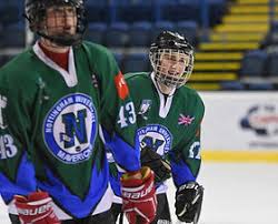 Image result for Nottingham Highfields Hockey Club